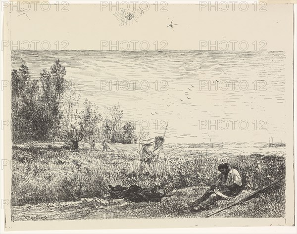 Haymaking, 1862, Charles François Daubigny, French, 1817-1878, France, Cliché-verre on ivory photographic paper, 215 × 344 mm (image), 216 × 342 mm (sheet)