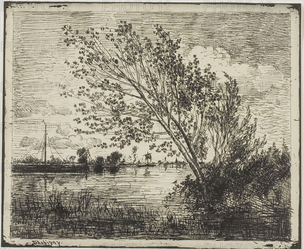 Clump of Alder Trees, 1862, Charles François Daubigny, French, 1817-1878, France, Cliché-verre on ivory photographic paper, 154 × 188 mm (image), 161 × 200 mm (sheet)