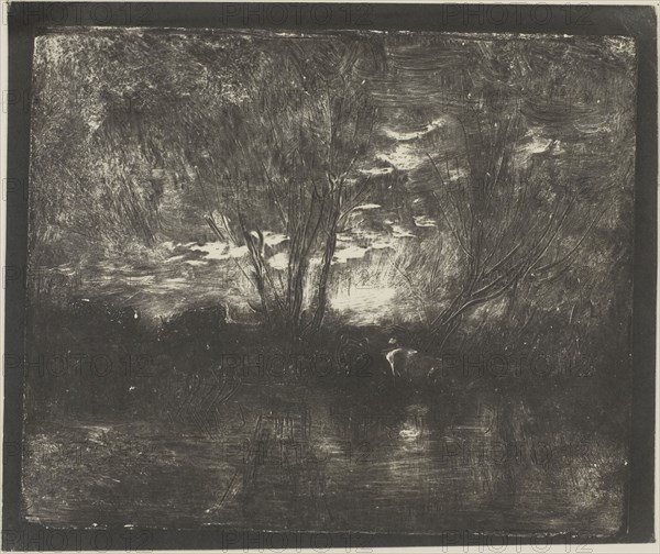 Cows at the Watering Place, 1862, Charles François Daubigny, French, 1817-1878, France, Cliché-verre on ivory photographic paper, 165 × 198 mm (image), 180 × 213 mm (sheet)