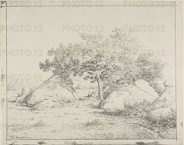 Cherry Tree at Plante à Biau, 1862, Théodore Rousseau, French, 1812-1867, France, Cliché-verre on ivory wove paper, 235 × 295 mm (image), 235 × 295 mm (sheet)