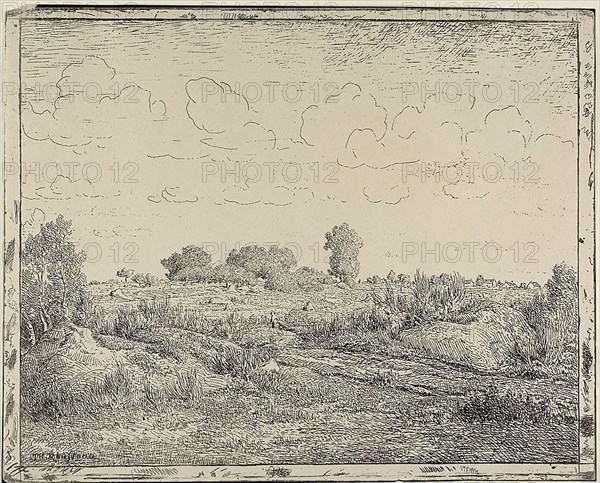 Plain at Plante à Biau, 1862, Théodore Rousseau, French, 1812-1867, France, Cliché-verre on cream wove paper, 244 × 302 mm (image), 244 × 302 mm (sheet)