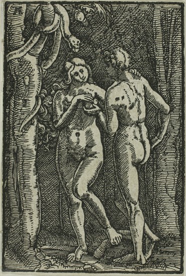 The Fall of Man, from The Fall and Redemption of Man, 1513, Albrecht Altdorfer, German, c.1480-1538, Germany, Woodcut in black on ivory laid paper, 72 x 48 mm (image/block/sheet)
