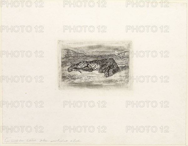 Tiger Resting in the Desert, 1846, Eugène Delacroix, French, 1798-1863, France, Etching on white China paper laid down on white wove paper, 75 × 125 mm (image), 100 × 134 mm (plate), 260 × 336 mm (sheet)