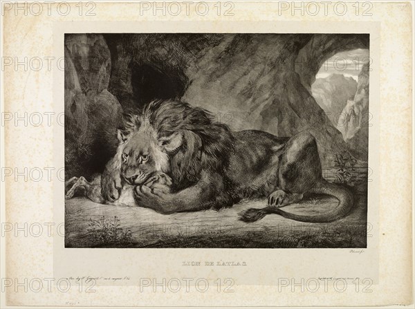 Lion of the Atlas Mountains, 1829, Eugène Delacroix (French, 1798-1863), printed by E. Ardit (French, act. 1828-1834), France, Lithograph in black on light-gray China paper laid down on ivory wove paper (chine collé), 330 × 465 mm (image), 470 × 625 mm (sheet)