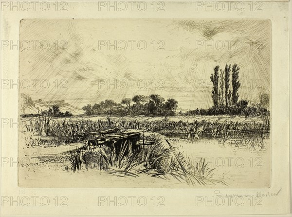 A Water Meadow, 1859, Francis Seymour Haden, English, 1818-1910, England, Etching on copper printed on ivory wove paper, 151 × 227 mm (image/plate), 191 × 258 mm (sheet)