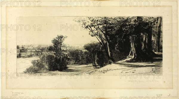 Early Morning, Richmond Park, 1859, Francis Seymour Haden, English, 1818-1910, England, Etching and drypoint on ivory laid paper, 137 × 277 mm (image/plate), 182 × 333 mm (sheet)