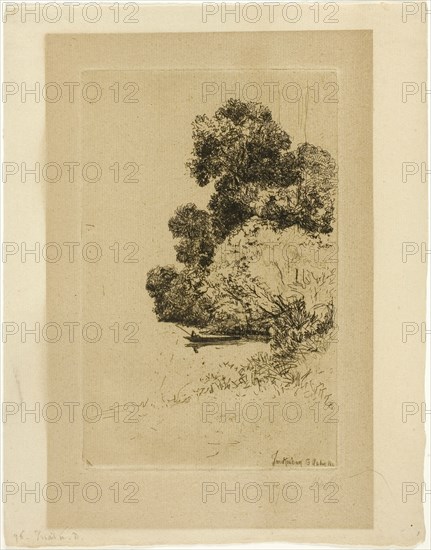 Twickenham Bushes, 1865, Francis Seymour Haden, English, 1818-1910, England, Etching on cream laid paper, 213 × 137 mm (image/plate), 289 × 227 mm (sheet)