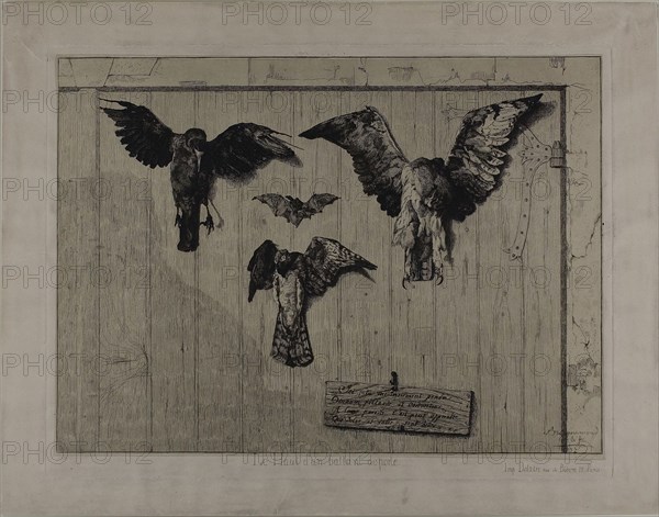 The Upper Part of a Door, 1852, Felix Bracquemond, French, 1833–1914, France, Etching and drypoint on off-white laid paper, laid down on ivory wove paper, 305 × 400 mm (plate), 285 × 387 mm (primary support), 465 × 360 mm (secondary support)