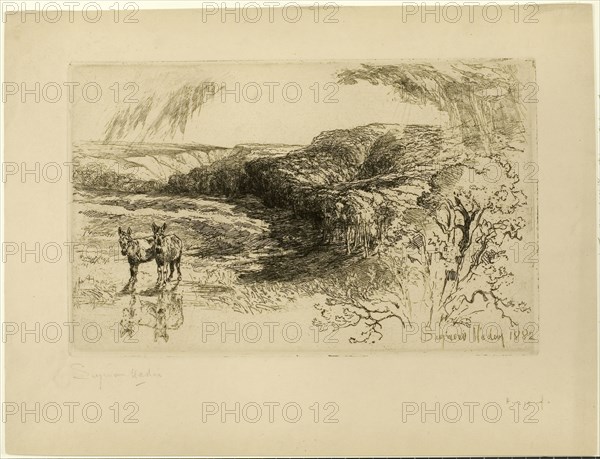 Encombe Woods, No. II, 1882, Francis Seymour Haden, English, 1818-1910, England, Etching with drypoint on cream laid paper, 213 × 340 mm (image/plate), 324 × 427 mm (sheet)