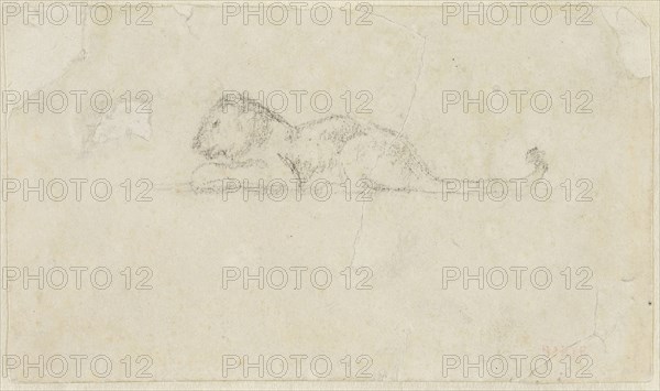 Seated Lioness, n.d., Antoine Louis Barye, French, 1795-1875, France, Graphite on ivory wove paper, laid down on ivory wove paper, 65 × 110 mm