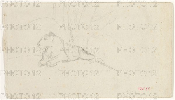 Lioness Lying near a Tree, n.d., Antoine Louis Barye, French, 1795-1875, France, Graphite on ivory wove paper, laid down on ivory wove paper, 65 × 113 mm
