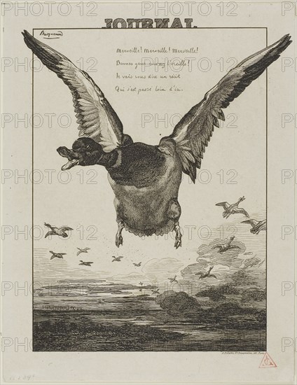 The Duck, 1856, Felix Bracquemond, French, 1833–1914, France, Etching on ivory wove paper, 175 × 127 mm (image), 205 × 158 mm (sheet)
