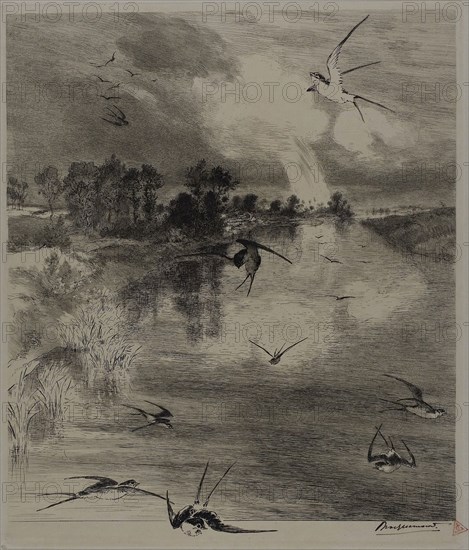 Swallows, 1882, Felix Bracquemond, French, 1833–1914, France, Etching and drypoint on ivory laid paper, 330 × 280 mm (image), 542 × 361 mm (sheet)