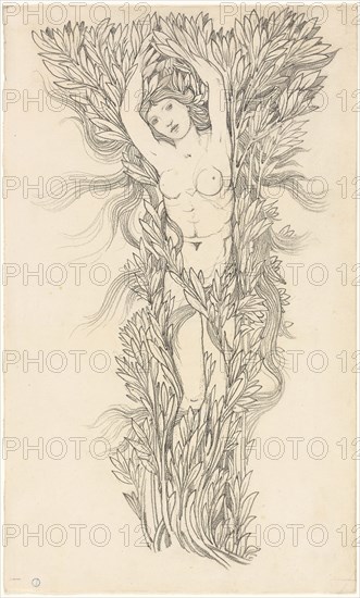 Daphne, n.d., Sir Edward Burne-Jones, style of, English, 1833-1898, England, Graphite on cream laid paper, 570 × 345 mm