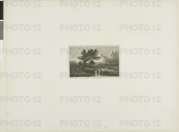 Alpine Landscape, n.d., Alexandre Calame, Swiss, 1810-1864, Switzerland, Etching on paper, 65 x 108 mm (image), 110 x 70 mm (plate), 276 x 362 mm (sheet)