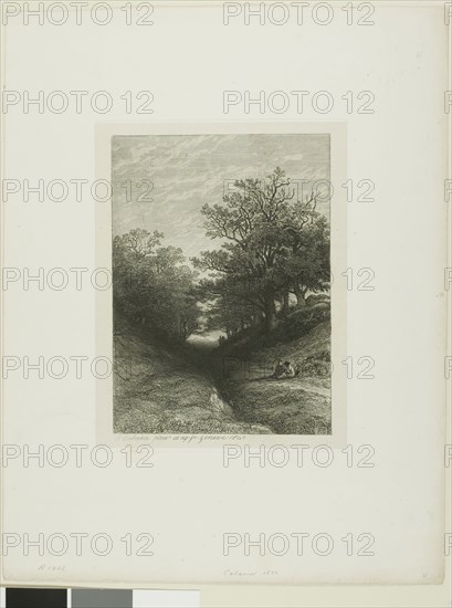 Alpine Landscape, n.d., Alexandre Calame, Swiss, 1810-1864, Switzerland, Etching on paper, 193 x 141 mm (image), 211 x 162 mm (plate), 371 x 285 mm (sheet)