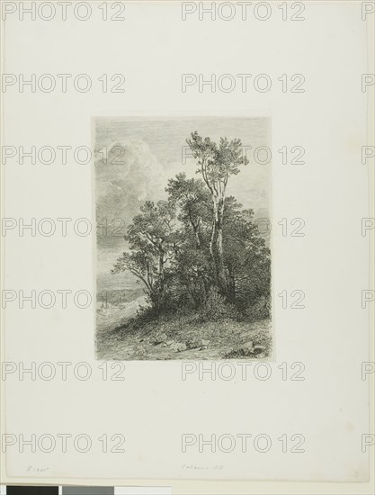 Alpine Landscape, 1861, Alexandre Calame, Swiss, 1810-1864, Switzerland, Etching on paper, 184 x 133 mm (image), 193 x 138 mm (plate), 360 x 276 mm (sheet)