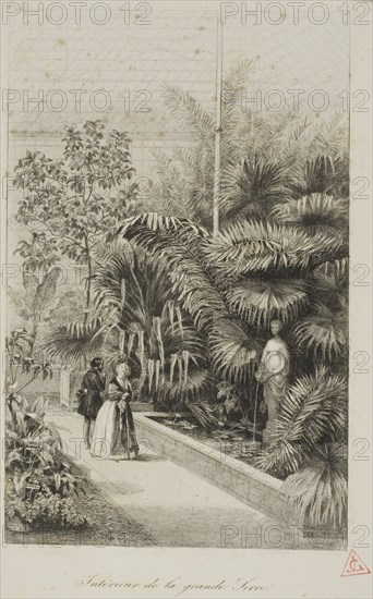 Interior of the Large Greenhouse, 1842, Charles François Daubigny, French, 1817-1878, France, Etching on white wove paper, 174 × 112 mm (image), 277 × 219 mm (plate), 356 × 267 mm (sheet)