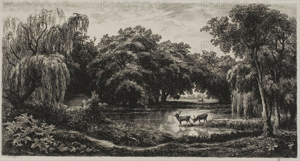 Marsh with Stags, 1845, Charles François Daubigny, French, 1817-1878, France, Etching on ivory chine laid down on cream wove paper, 136 × 254 mm (plate), 277 × 358 mm (sheet)