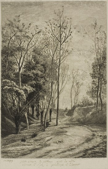 The Small Birds, 1850, Charles François Daubigny, French, 1817-1878, France, Etching on ivory Japanese paper, 150 × 102 mm (image), 192 × 132 mm (plate), 393 × 262 mm (sheet)