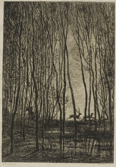 Stags in the Woods, 1850, Charles François Daubigny, French, 1817-1878, France, Etching on cream Japanese paper, 162 × 113 mm (image), 185 × 142 mm (plate), 393 × 262 mm (sheet)