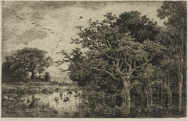 The Marsh with Storks, c. 1851, Charles François Daubigny, French, 1817-1878, France, Etching on cream Japanese paper, 126 × 198 mm (image), 148 × 218 mm (plate), 262 × 393 mm (sheet)