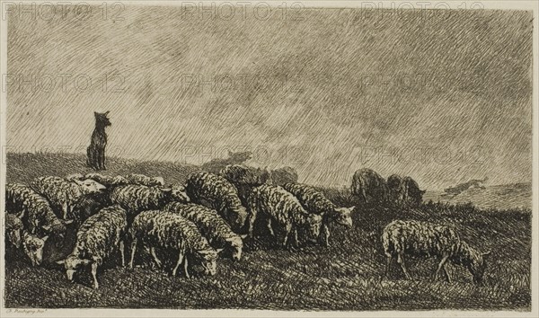 The Dog’s Watch, 1857, Charles François Daubigny, French, 1817-1878, France, Etching on cream Japanese paper, 263 × 395 mm (image), 112 × 172 mm (plate), 263 × 395 mm (sheet)