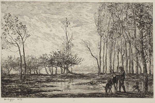Sunset, 1859, Charles François Daubigny, French, 1817-1878, France, Etching on chine collé on paper, 117 × 184 mm (image), 162 × 227 mm (sheet), 294 × 380 mm (secondary support)
