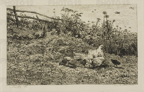 The Hen and her Chicks, c. 1860, Charles François Daubigny, French, 1817-1878, France, Etching on cream Japanese paper, 93 × 152 mm (image), 109 × 167 mm (plate), 264 × 394 mm (sheet)