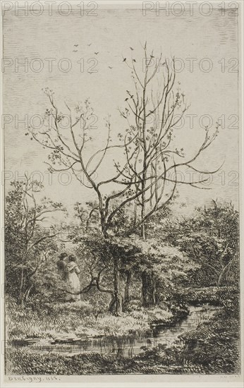 The Orchard, 1868, Charles François Daubigny, French, 1817-1878, France, Etching and drypoint on light gray chine laid down on ivory wove paper, 185 × 120 mm (image), 197 × 130 mm (plate), 386 × 268 mm (sheet)