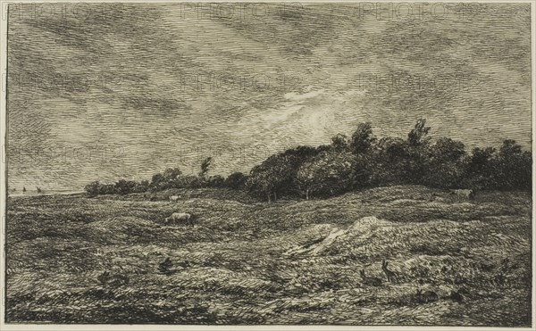 Le Pré des Graves à Villerville (Calvados), 1875, Charles François Daubigny, French, 1817-1878, France, Etching and drypoint on cream Japanese paper, 127 × 206 mm (image), 162 × 243 mm (plate), 249 × 361 mm (sheet)