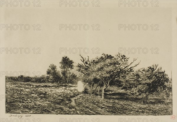 Apple Trees at Auvers, 1877, Charles François Daubigny, French, 1817-1878, France, Etching and drypoint on ivory laid paper, 156 × 239 mm (image), 195 × 276 mm (plate), 281 × 382 mm (sheet)