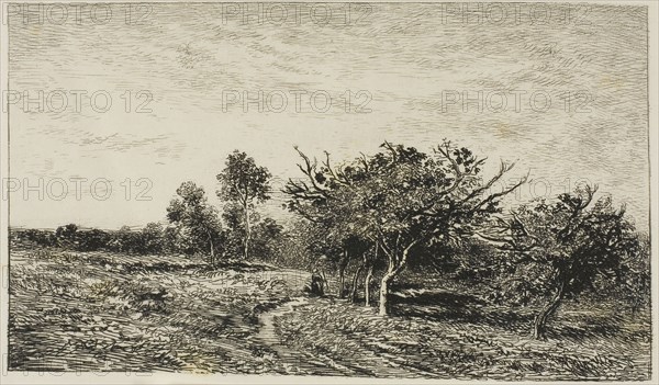 Apple Trees at Auvers, 1877, Charles François Daubigny, French, 1817-1878, France, Etching and drypoint on ivory Japanese paper, 144 × 243 mm (image), 198 × 281 mm (plate), 265 × 390 mm (sheet)