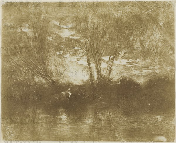 Cows at the Watering Place, 1862, Charles François Daubigny, French, 1817-1878, France, Cliché-verre in brown on ivory photographic paper, 148 × 185 mm