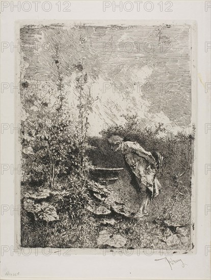 Amateur de Jardin, n.d., Mariano José María Bernardo Fortuny y Carbó, Spanish, 1838-1874, Spain, Etching on paper, 275 x 215 mm