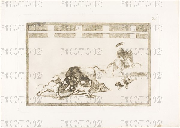 They Loose Dogs on the Bull, plate 25 from The Art of Bullfighting, 1814/16, published 1816, Francisco José de Goya y Lucientes, Spanish, 1746-1828, Spain, Etching, burnished aquatint and drypoint on ivory laid paper, 210 x 311 mm (image), 245 x 354 mm (plate), 321 x 445 mm (sheet)