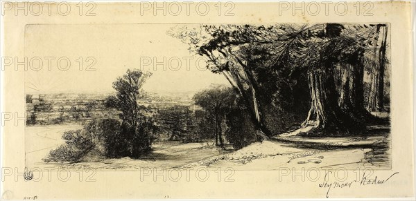 Early Morning, Richmond Park, 1859, Francis Seymour Haden, English, 1818-1910, England, Etching and drypoint on ivory Japanese paper, 112 × 275 mm (image/plate), 146 × 310 mm (sheet)