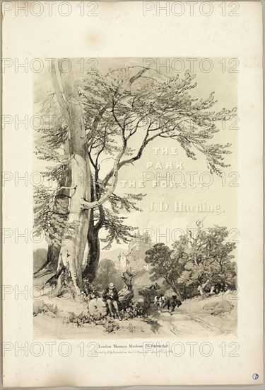 Beech and Oak (Frontispiece), from The Park and the Forest, 1841, James Duffield Harding (English, 1798-1863), printed by Charles Joseph Hullmandel (English, 1789–1850), published by Thomas McLean (English, 1788–1875), England, Lithograph in black, with gray tint from a second plate, on ivory wove paper, laid down on ivory wove paper (chine collé), 394 × 289 mm (image), 541 × 369 mm (sheet)