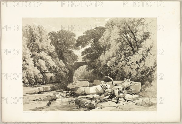Ash and Alder on the Greta, from The Park and the Forest, 1841, James Duffield Harding (English, 1798-1863), printed by Charles Joseph Hullmandel (English, 1789–1850), published by Thomas McLean (English, 1788–1875), England, Lithograph in black, with gray tint from a second plate, on ivory wove paper, laid down on ivory wove paper (chine collé), 285 × 408 mm (image), 369 × 541 mm (sheet)