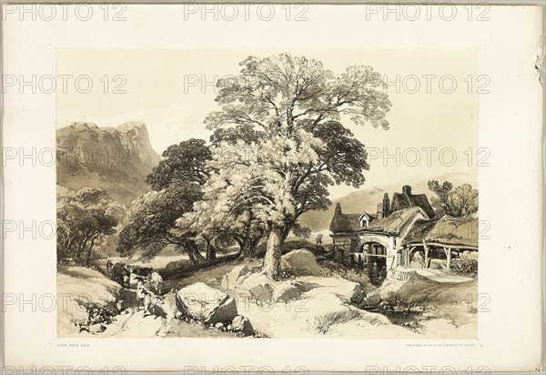Ash and Oak, from The Park and the Forest, 1841, James Duffield Harding (English, 1798-1863), printed by Charles Joseph Hullmandel (English, 1789–1850), published by Thomas McLean (English, 1788–1875), England, Lithograph in black, with brown tint from a second plate, on ivory wove paper, laid down on ivory wove paper (chine collé), 293 × 423 mm (image), 369 × 541 mm (sheet)