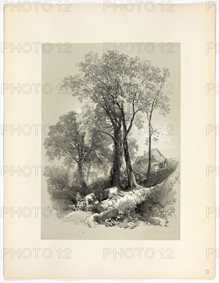Shipley Bridge, Devon, from Picturesque Selections, 1859, James Duffield Harding, (English, 1798-1863), Published by W. Kent and Co., England, Lithograph on paper, 400 × 285 mm (primary support), 560 × 430 mm (secondary support)