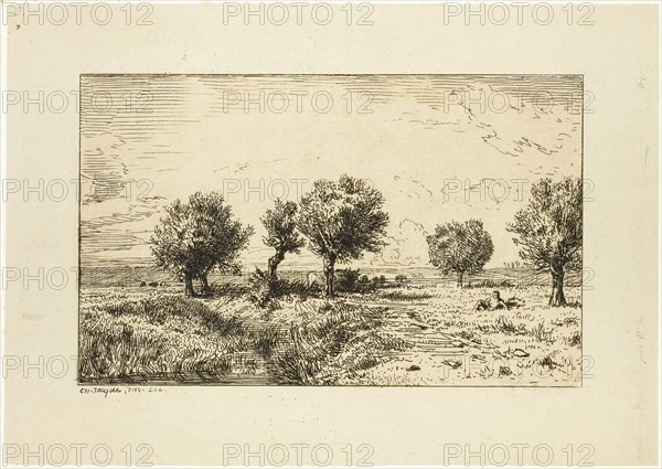 Willows in a Landscape, 1844, Charles Émile Jacque, French, 1813-1894, France, Etching on light gray China paper laid down on ivory wove paper, 76 × 124 mm (image), 114 × 160 mm (chine), 120 × 166 mm (plate), 242 × 321 mm (sheet)