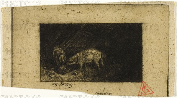 Two Pigs Eating from a Trough, 1844, Charles Émile Jacque, French, 1813-1894, France, Etching on cream chine, 35 × 62 mm (image), 55 × 95 mm (plate, partially trimmed), 57 × 105 mm (sheet)