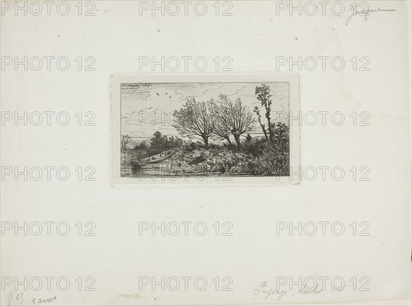 Landscape, Willow Trees, c. 1845, Charles Émile Jacque, French, 1813-1894, France, Etching on light gray China paper laid down on ivory wove paper, 74 × 133 mm (image), 85 × 149 mm (chine), 88 × 150 mm (plate), 240 × 323 mm (sheet)