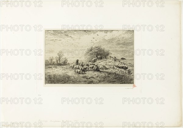 Landscape with Herd of Pigs, 1845, Charles Émile Jacque, French, 1813-1894, France, Etching on cream China paper laid down on ivory wove paper, 131 × 215 mm (image), 142 × 221 mm (chine), 170 × 254 mm (plate), 306 × 435 mm (sheet)