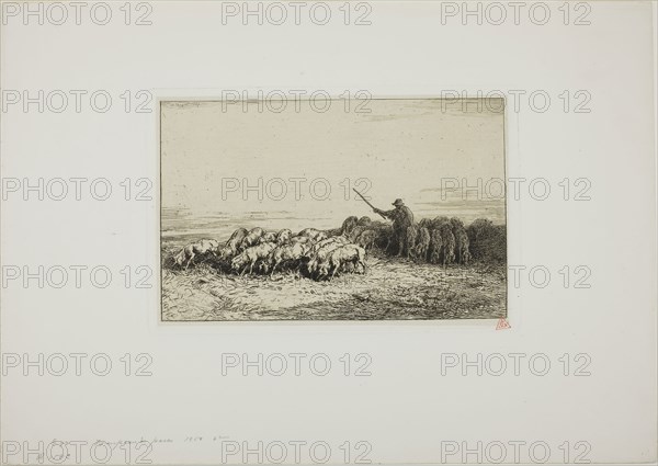 Herd of Pigs, 1850, Charles Émile Jacque, French, 1813-1894, France, Etching on China paper, 145 × 227 mm (image), 152 × 232 mm (chine), 162 × 245 mm (plate), 305 × 432 mm (sheet)