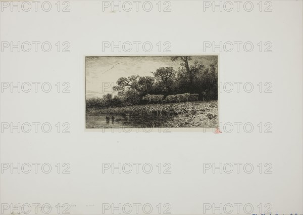 Evening Landscape, 1850, Charles Émile Jacque, French, 1813-1894, France, Etching and roulette on China paper, 100 × 183 mm (image), 109 × 189 mm (chine), 119 × 200 mm (plate), 301 × 425 mm (sheet)