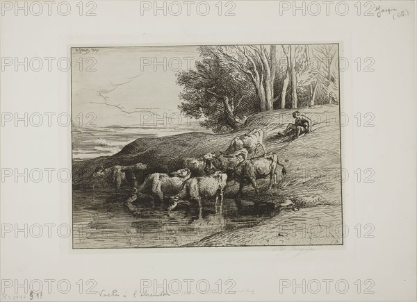 Cows at the Watering Place, 1850, Charles Émile Jacque, French, 1813-1894, France, Etching, drypoint and roulette on cream China paper collè laid down on ivory wove paper, 207 × 277 mm (image), 215 × 284 mm (chine), 237 × 303 mm (plate)