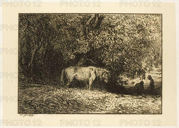 Horse in a Wood, 1846, Charles Émile Jacque, French, 1813-1894, France, Etching on cream China paper laid down on ivory wove paper, 84 × 120 mm (image), 104 × 145 mm (chine), 121 × 168 mm (plate), 242 × 317 mm (sheet)