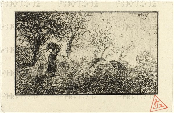 Landscape and Animals, 1846, Charles Émile Jacque, French, 1813-1894, France, Etching on cream China paper laid down on ivory wove paper, 45 × 77 mm (image), 60 × 92 mm (chine), 310 × 449 mm (sheet)